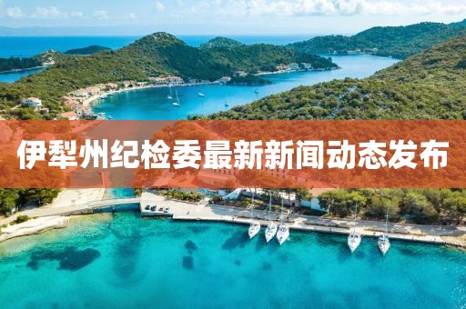 伊犁州紀檢委最新新聞動態(tài)發(fā)布
