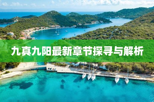九真九陽最新章節(jié)探尋與解析