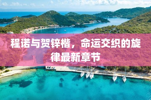 程諾與賀鋅楷，命運(yùn)交織的旋律最新章節(jié)