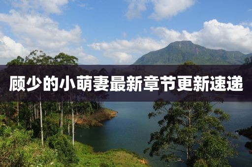 顧少的小萌妻最新章節(jié)更新速遞