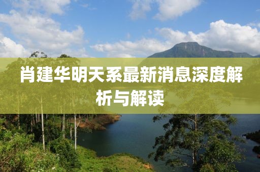 肖建華明天系最新消息深度解析與解讀