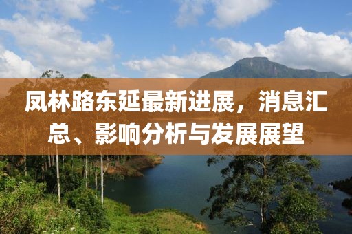 鳳林路東延最新進展，消息匯總、影響分析與發(fā)展展望
