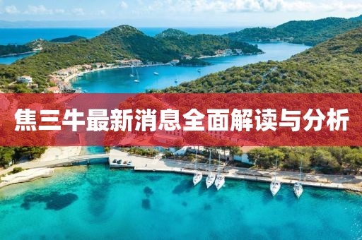 焦三牛最新消息全面解讀與分析