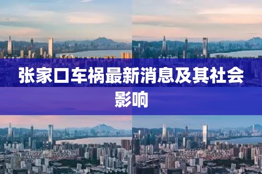 張家口車(chē)禍最新消息及其社會(huì)影響