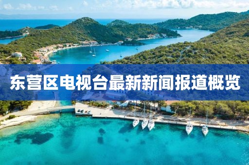 東營區(qū)電視臺最新新聞報道概覽