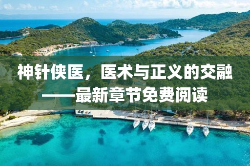 神針俠醫(yī)，醫(yī)術與正義的交融——最新章節(jié)免費閱讀