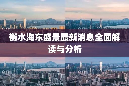 衡水海東盛景最新消息全面解讀與分析