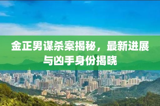 金正男謀殺案揭秘，最新進(jìn)展與兇手身份揭曉