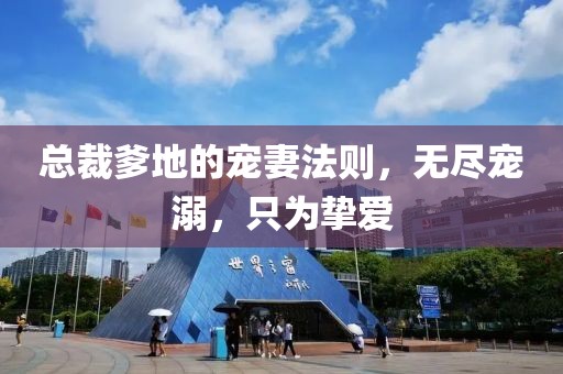 總裁爹地的寵妻法則，無盡寵溺，只為摯愛