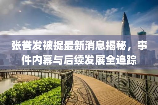 張譽發(fā)被捉最新消息揭秘，事件內(nèi)幕與后續(xù)發(fā)展全追蹤