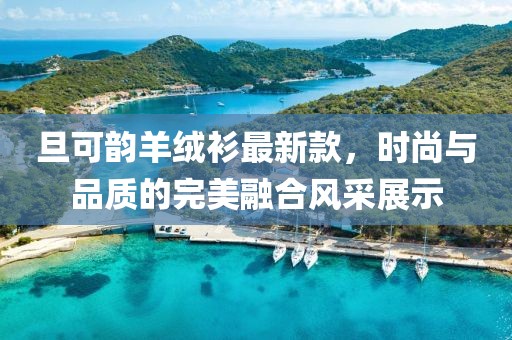 旦可韻羊絨衫最新款，時(shí)尚與品質(zhì)的完美融合風(fēng)采展示