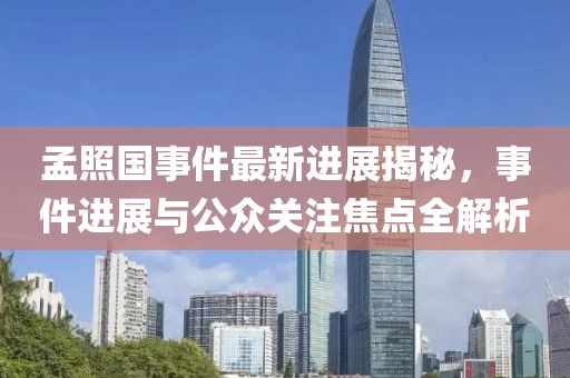 孟照國事件最新進(jìn)展揭秘，事件進(jìn)展與公眾關(guān)注焦點(diǎn)全解析