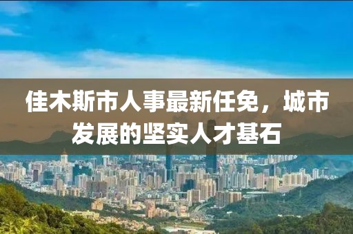 佳木斯市人事最新任免，城市發(fā)展的堅實人才基石
