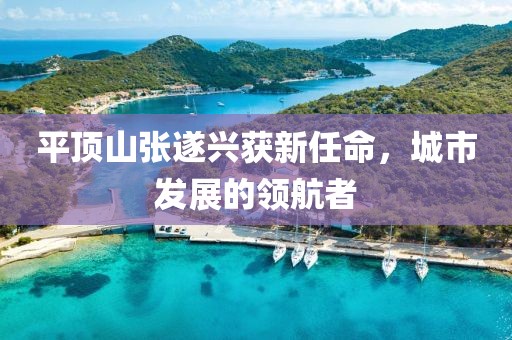平頂山張遂興獲新任命，城市發(fā)展的領(lǐng)航者