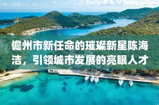 儋州市新任命的璀璨新星陳海潔，引領城市發(fā)展的亮眼人才