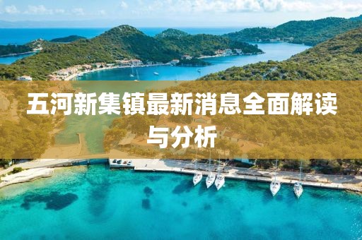 五河新集鎮(zhèn)最新消息全面解讀與分析