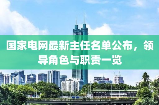 國(guó)家電網(wǎng)最新主任名單公布，領(lǐng)導(dǎo)角色與職責(zé)一覽