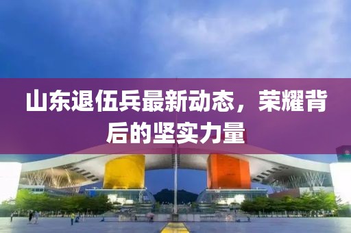 山東退伍兵最新動(dòng)態(tài)，榮耀背后的堅(jiān)實(shí)力量