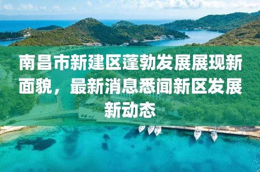 南昌市新建區(qū)蓬勃發(fā)展展現(xiàn)新面貌，最新消息悉聞新區(qū)發(fā)展新動(dòng)態(tài)