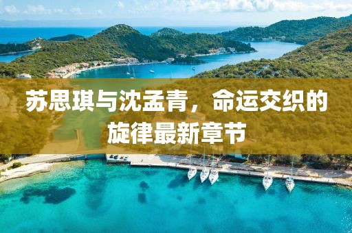 蘇思琪與沈孟青，命運交織的旋律最新章節(jié)