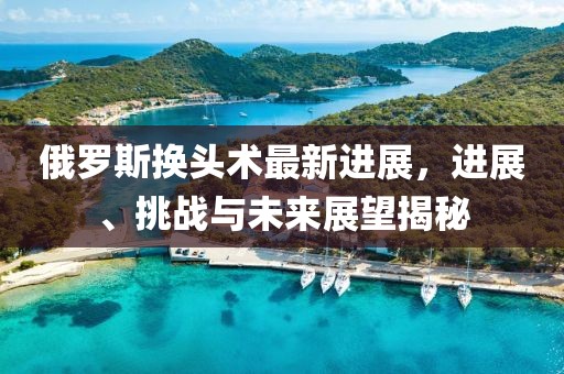 俄羅斯換頭術(shù)最新進(jìn)展，進(jìn)展、挑戰(zhàn)與未來展望揭秘