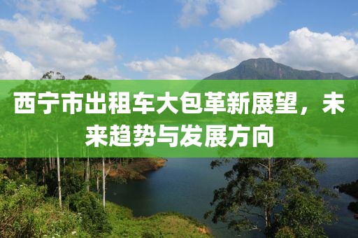 西寧市出租車大包革新展望，未來趨勢與發(fā)展方向