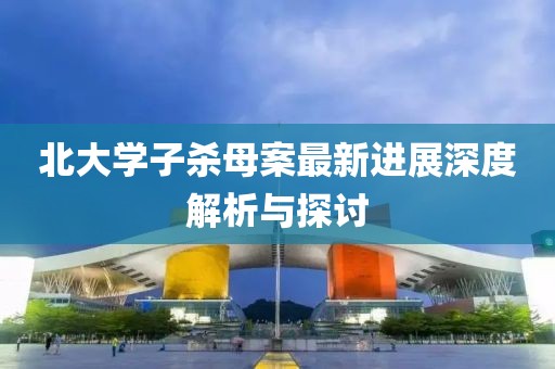 北大學子殺母案最新進展深度解析與探討
