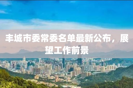 豐城市委常委名單最新公布，展望工作前景