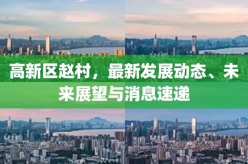 高新區(qū)趙村，最新發(fā)展動(dòng)態(tài)、未來展望與消息速遞