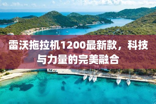 雷沃拖拉機(jī)1200最新款，科技與力量的完美融合