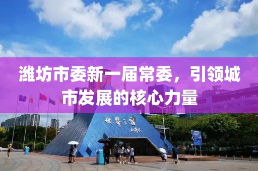 濰坊市委新一屆常委，引領(lǐng)城市發(fā)展的核心力量