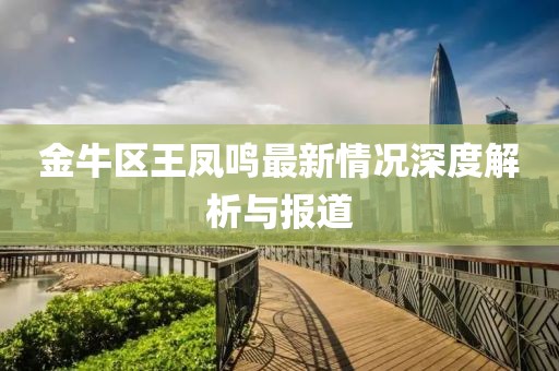 金牛區(qū)王鳳鳴最新情況深度解析與報道