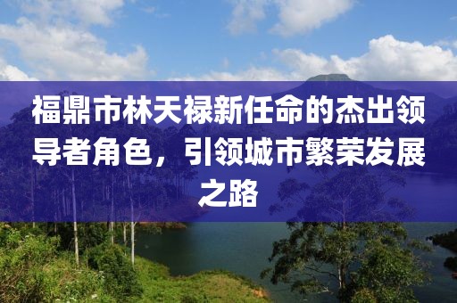 福鼎市林天祿新任命的杰出領(lǐng)導(dǎo)者角色，引領(lǐng)城市繁榮發(fā)展之路