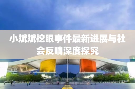 小斌斌挖眼事件最新進(jìn)展與社會(huì)反響深度探究