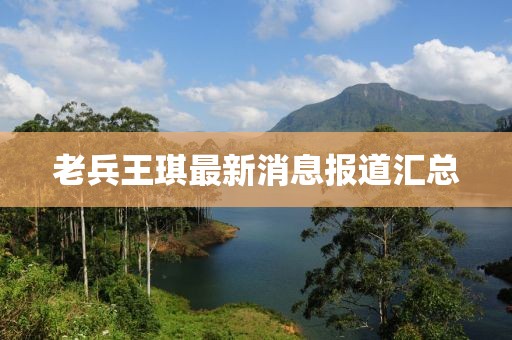 老兵王琪最新消息報道匯總