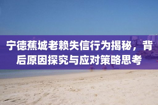 寧德蕉城老賴失信行為揭秘，背后原因探究與應(yīng)對(duì)策略思考