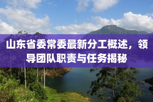 山東省委常委最新分工概述，領(lǐng)導(dǎo)團(tuán)隊職責(zé)與任務(wù)揭秘