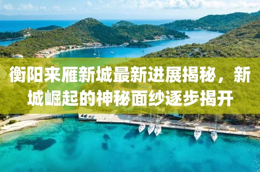 衡陽來雁新城最新進展揭秘，新城崛起的神秘面紗逐步揭開