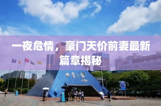 一夜危情，豪門(mén)天價(jià)前妻最新篇章揭秘