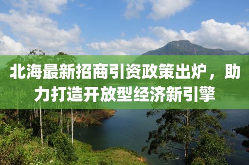 北海最新招商引資政策出爐，助力打造開放型經(jīng)濟(jì)新引擎