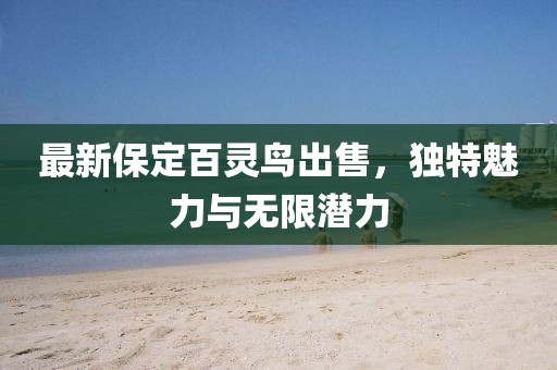 最新保定百靈鳥出售，獨(dú)特魅力與無限潛力
