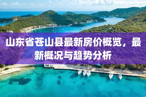 山東省蒼山縣最新房價概覽，最新概況與趨勢分析