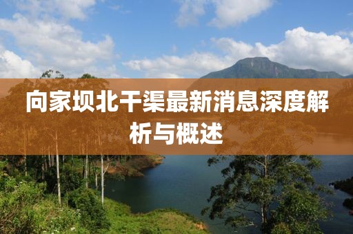 向家壩北干渠最新消息深度解析與概述
