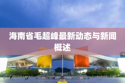 海南省毛超峰最新動態(tài)與新聞概述