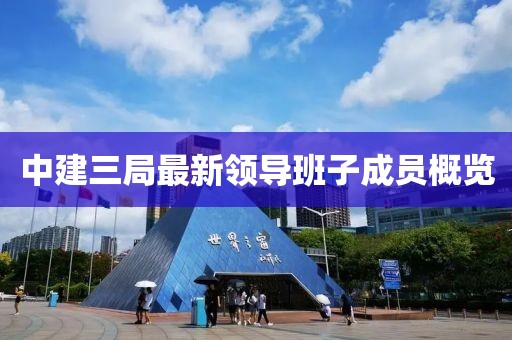 中建三局最新領(lǐng)導(dǎo)班子成員概覽