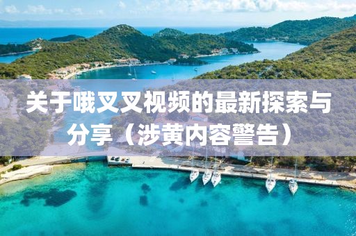 關(guān)于哦叉叉視頻的最新探索與分享（涉黃內(nèi)容警告）