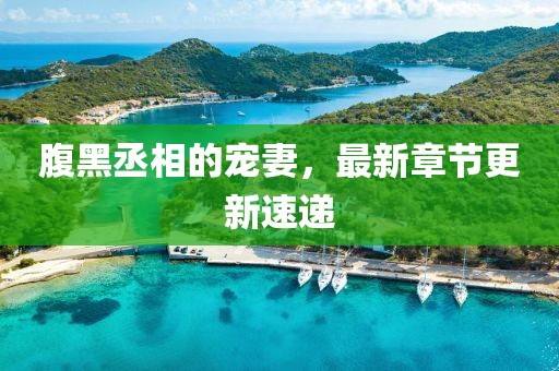腹黑丞相的寵妻，最新章節(jié)更新速遞