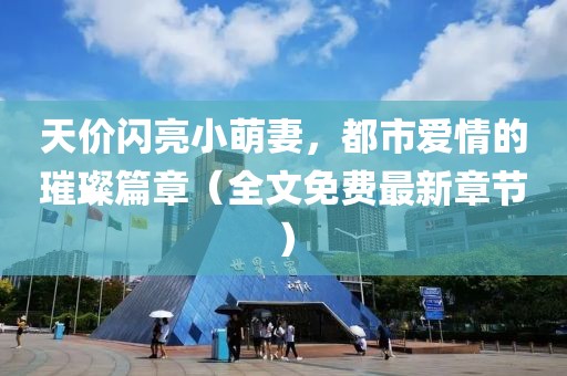 天價(jià)閃亮小萌妻，都市愛(ài)情的璀璨篇章（全文免費(fèi)最新章節(jié)）