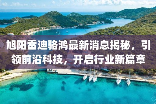 旭陽雷迪駱鴻最新消息揭秘，引領(lǐng)前沿科技，開啟行業(yè)新篇章