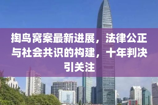 掏鳥窩案最新進展，法律公正與社會共識的構建，十年判決引關注